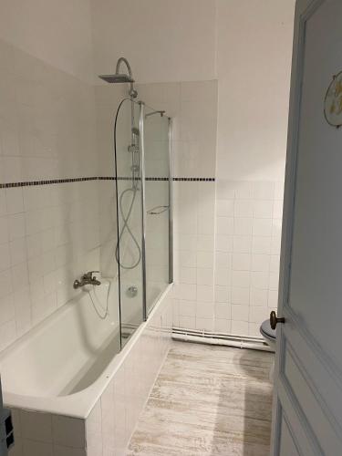 une salle de bain avec douche et baignoire dans l'établissement Le Castel de Bréhémont, à Bréhémont