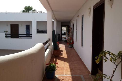 a hallway of a house with plants on it at Appartement à 2 minutes de la plage Skhirat in Skhirat