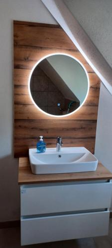 La salle de bains est pourvue d'un lavabo et d'un miroir. dans l'établissement Appartement Gertraud, à Hieflau