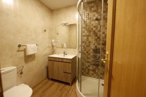 La salle de bains est pourvue de toilettes, d'une douche et d'un lavabo. dans l'établissement LUZ DE PRADA, à Puebla de Sanabria