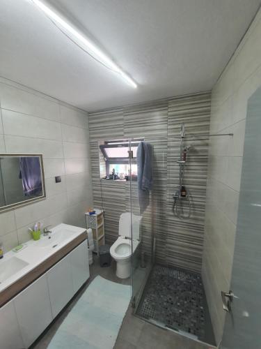uma casa de banho com um chuveiro, um WC e um lavatório. em Enjoy the Island - Rua do Negrão em Ponta Delgada