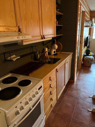uma cozinha com um fogão e um lavatório em Leilighet på Gautefall em Drangedal