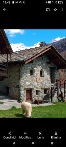 un cane in piedi di fronte a un edificio in pietra di Chalet quota 1800 a Saint Jacques