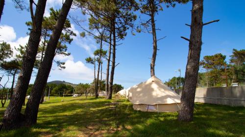 a tent in a field with trees at Glamping Atlántico in Ferrol
