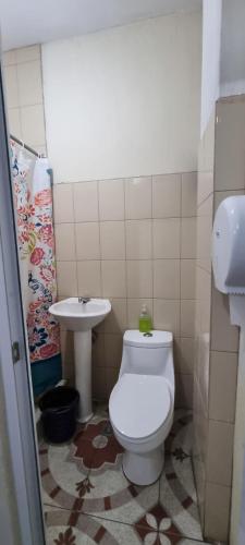 een badkamer met een toilet en een wastafel bij Hotel Chaparral in Panajachel