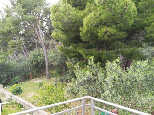 Κήπος έξω από το Domenico - 50 m from the sea