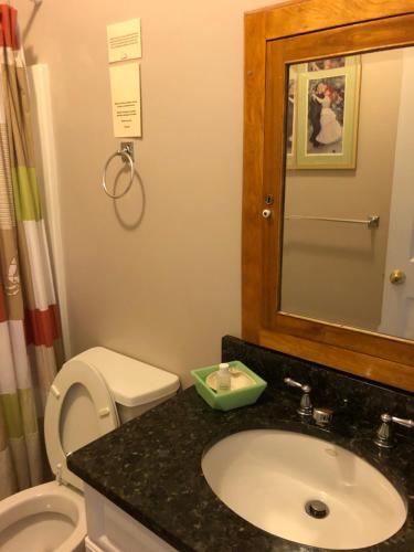 a bathroom with a sink and a toilet and a mirror at Josephine's on the Bay Bed and Breakfast in Hull