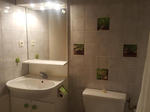 une salle de bain avec un lavabo, des toilettes et un miroir dans l'établissement Studio à Brides-les-Bains, 4 pers, balcon, parking couvert, proche centre et thermes - FR-1-512-272, à Brides-les-Bains