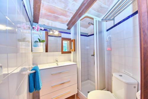 a bathroom with a toilet and a sink and a shower at Villa Rural Son Pou in Sa Pobla