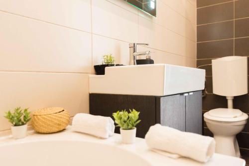 ein Bad mit einem Waschbecken und einem WC in der Unterkunft Paulay Design Apartment in Budapest