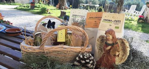 Foto dalla galleria di La Voce della Natura a Fermo