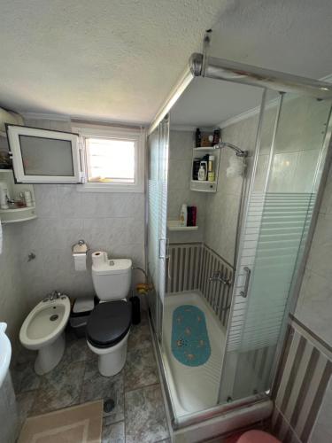a small bathroom with a toilet and a shower at Vila Katerina Anna in Nea Kalikratia
