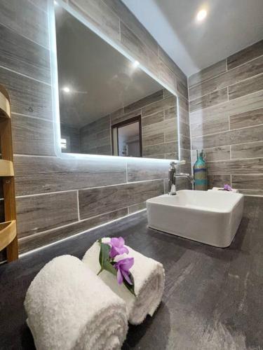 a bathroom with a sink and a mirror at Studio Epoustouflant Vue Mer St Martin in Cul de Sac