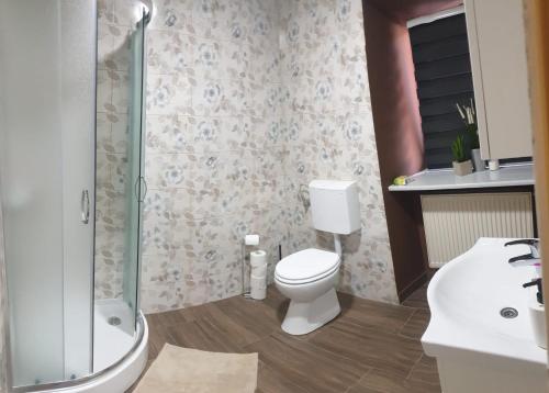 a bathroom with a toilet and a shower and a sink at Apartma Rešer in Črna na Koroškem