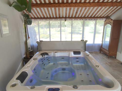 jacuzzi en una habitación con ventana en Les Grandes Terres - Gîtes & SPA en Mérindol