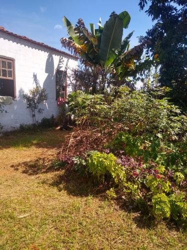 um jardim em frente a uma casa branca em Chácara lua e Sol em Pouso Alegre