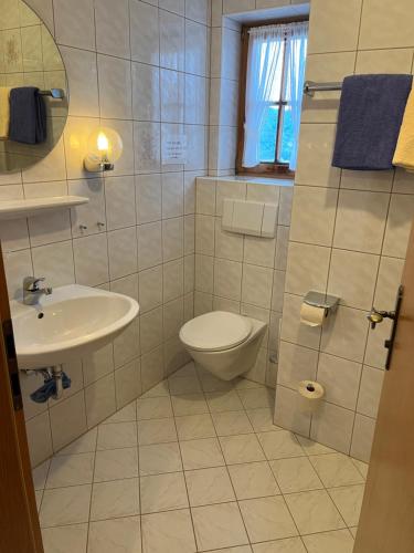 a bathroom with a toilet and a sink at Beim Hanslbauer in Reit im Winkl