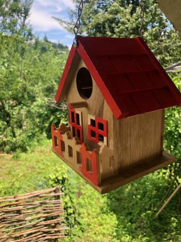 a bird house is hanging from a chain at Elizabeth's Rooms in Kutaisi