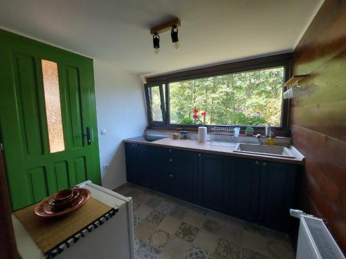cocina con puerta verde, fregadero y ventana en Cabana din Rusca, en Sebeşu de Jos