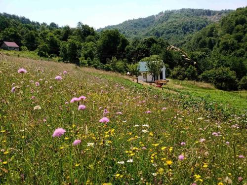 Φυσικό τοπίο κοντά σε αυτή η παραθεριστική κατοικία