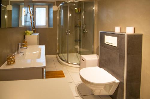 La salle de bains est pourvue d'une douche, de toilettes et d'un lavabo. dans l'établissement Essey-St Bohème 6 pers parking, à Essey-lès-Nancy