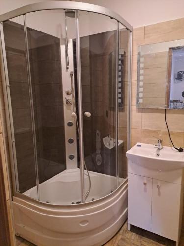 a bathroom with a shower and a sink at Noclegi u Wandy in Ropienka
