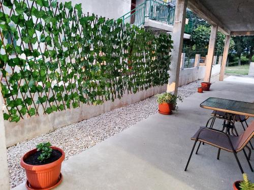 Κήπος έξω από το Ivovic apartments