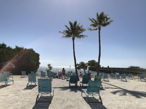 a group of chairs and palm trees on a beach at Tropical Getaway w/Private Beach 1 BD Condo in Tavernier