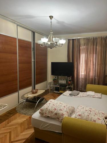 Φωτογραφία από το άλμπουμ του Apartments Bella στο Κότορ