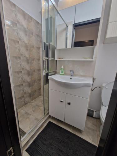 a bathroom with a shower and a sink and a toilet at City Center Apartment in Bucharest