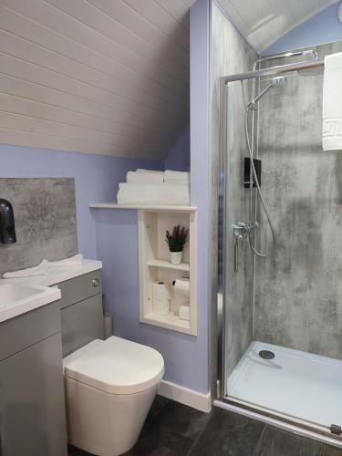 a bathroom with a toilet and a shower at Meikle Balloch in Keith