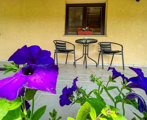 Zahrada ubytování Holiday home Avita
