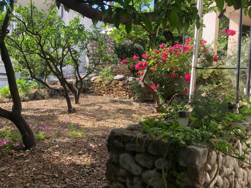 Apartments Stari Pavle – Photos 3