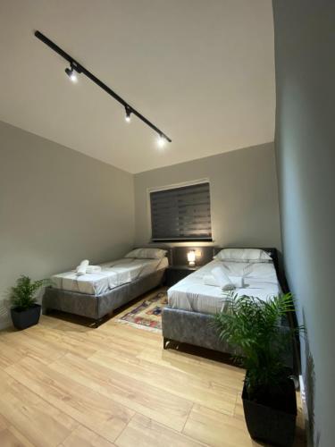 2 lits dans une chambre avec 2 plantes en pot dans l'établissement Lucas Downtown, à Tirana