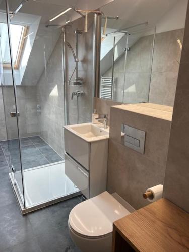 a bathroom with a shower and a toilet and a sink at Boho House - Dziwnów in Dziwnów