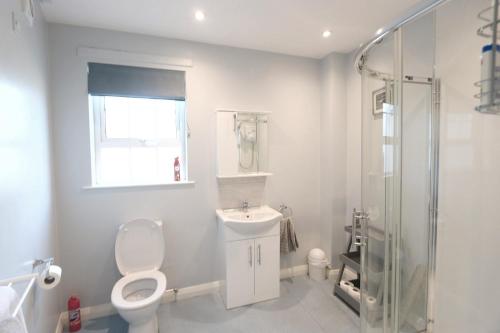 La salle de bains est pourvue de toilettes, d'un lavabo et d'une douche. dans l'établissement Stylish apartment close to Causeway Coast & Glens, à Portglenone