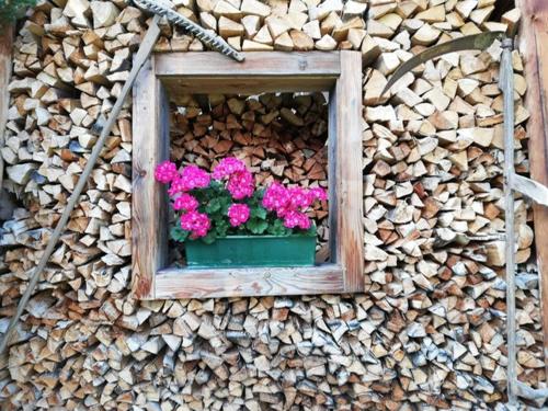 a window with flowers in a pot on a pile of wood at SIEGLGUT in Altaussee