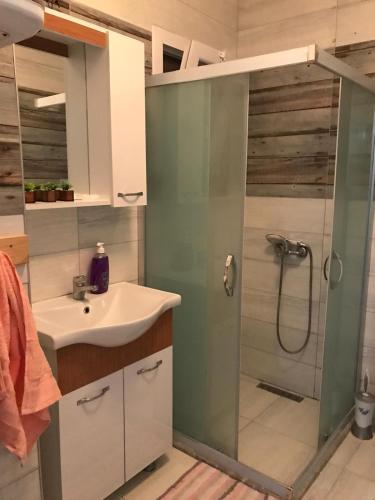 博德魯姆的住宿－mumcular apartment，一间带水槽和淋浴的浴室