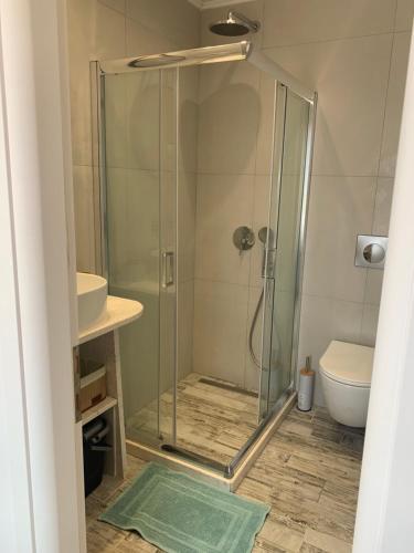 a bathroom with a shower with a sink and a toilet at SAN GEORGE COVE in Afionas