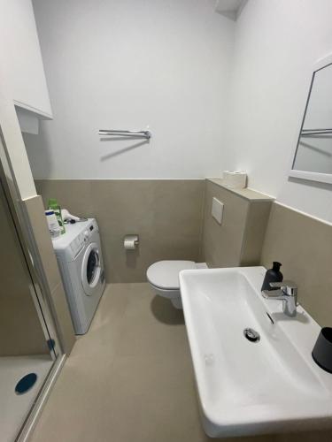 een badkamer met een wastafel en een wasmachine bij Swan Stay Property 17 in Wenen