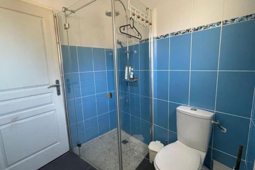 ein blau gefliestes Bad mit einem WC und einer Dusche in der Unterkunft Appart independent garden Pool & Spa in Sussargues