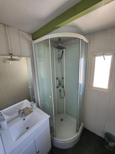une salle de bain avec douche et lavabo dans l'établissement Chalet, à Petreto-Bicchisano