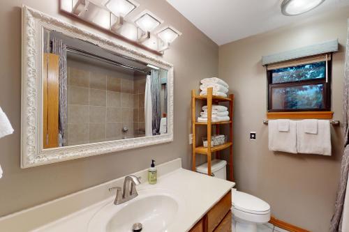 a bathroom with a sink and a toilet and a mirror at Holiday Island Hideaway in Holiday Island