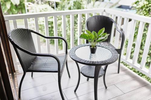 two chairs and a table with a potted plant on a porch at Elena Brown in Puerto Viejo