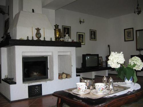 a living room with a table and a fireplace at Villa Stare Osieczno in Stare Osieczno