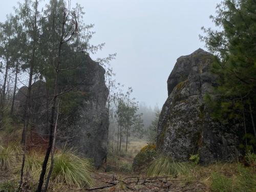 a foggy forest with a large rock and trees at Cabañas Chalets Piedra Alta Zacatlan in Camotepec