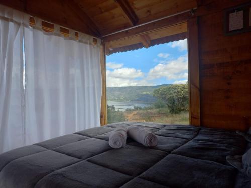 1 dormitorio con 1 cama y ventana grande en Camping & Cabaña San Francisco - Guatavita en Guatavita