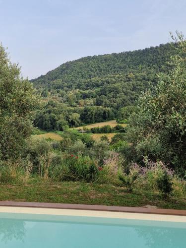 a view of a mountain from a swimming pool at Sant'Anselmo in Bagnoregio