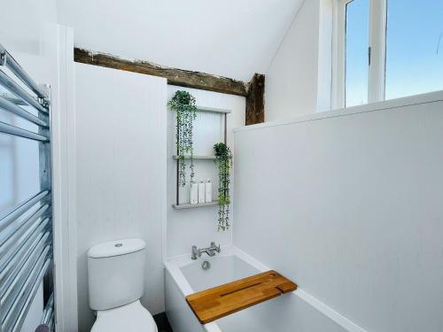 a white bathroom with a toilet and a sink at Old Skittle Alley in High Bickington