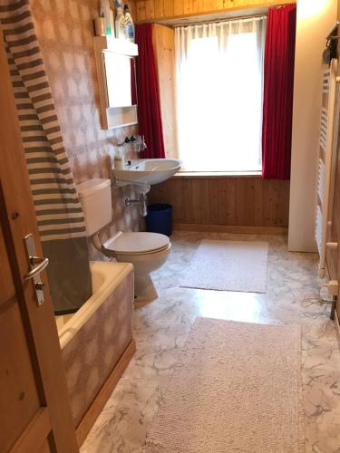 a bathroom with a toilet and a sink at Apartment Verena in Vals